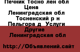 Печник Тосно лен.обл › Цена ­ 40 - Ленинградская обл., Тосненский р-н, Пельгора д. Услуги » Другие   . Ленинградская обл.